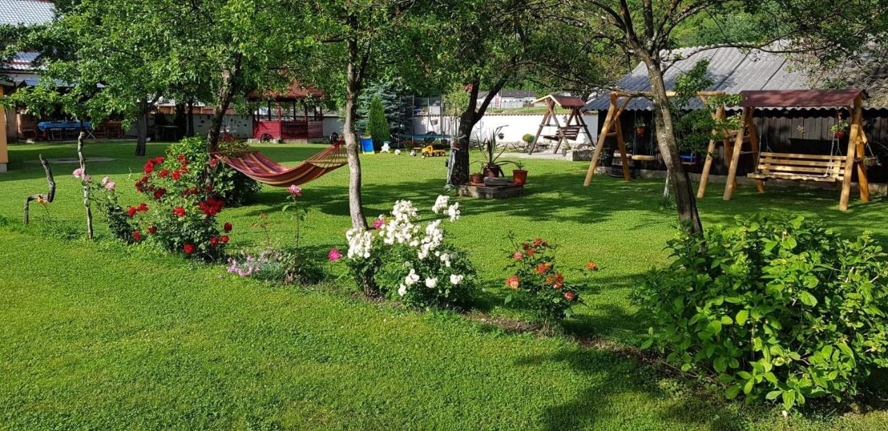 Pensiunea Miraj Polovragi Bagian luar foto