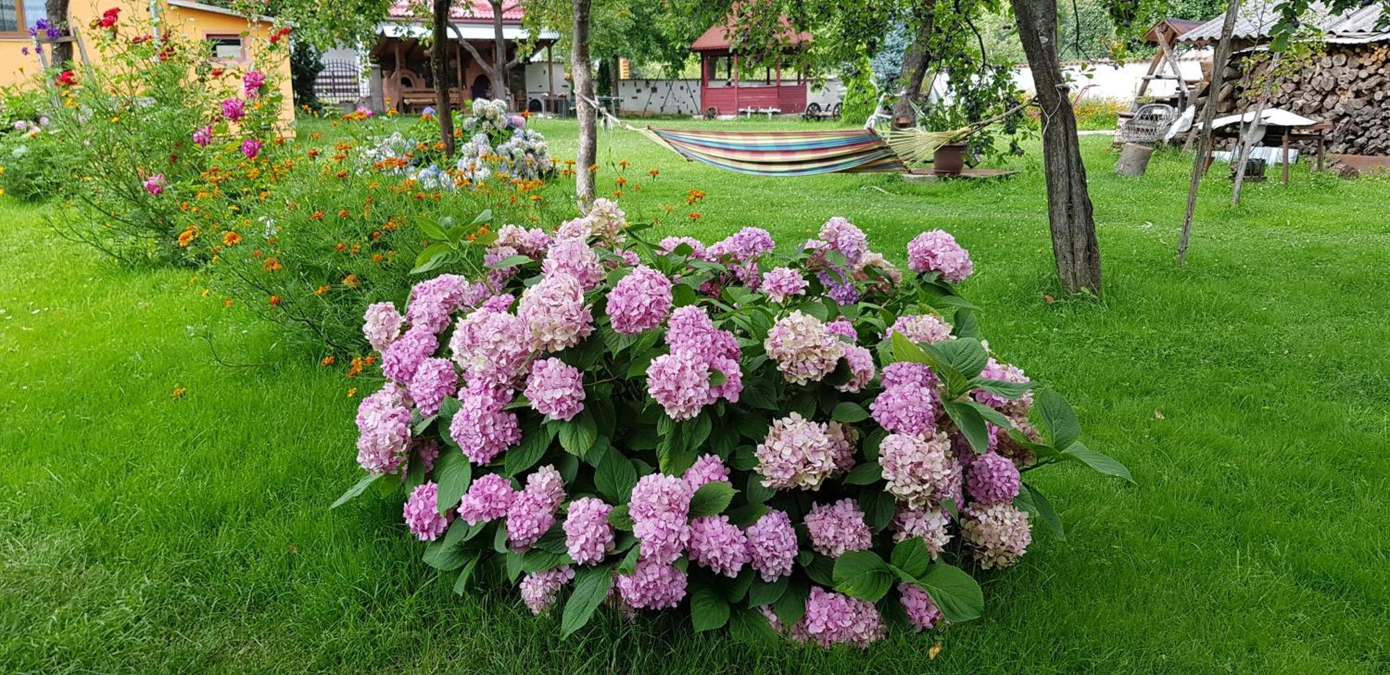 Pensiunea Miraj Polovragi Bagian luar foto