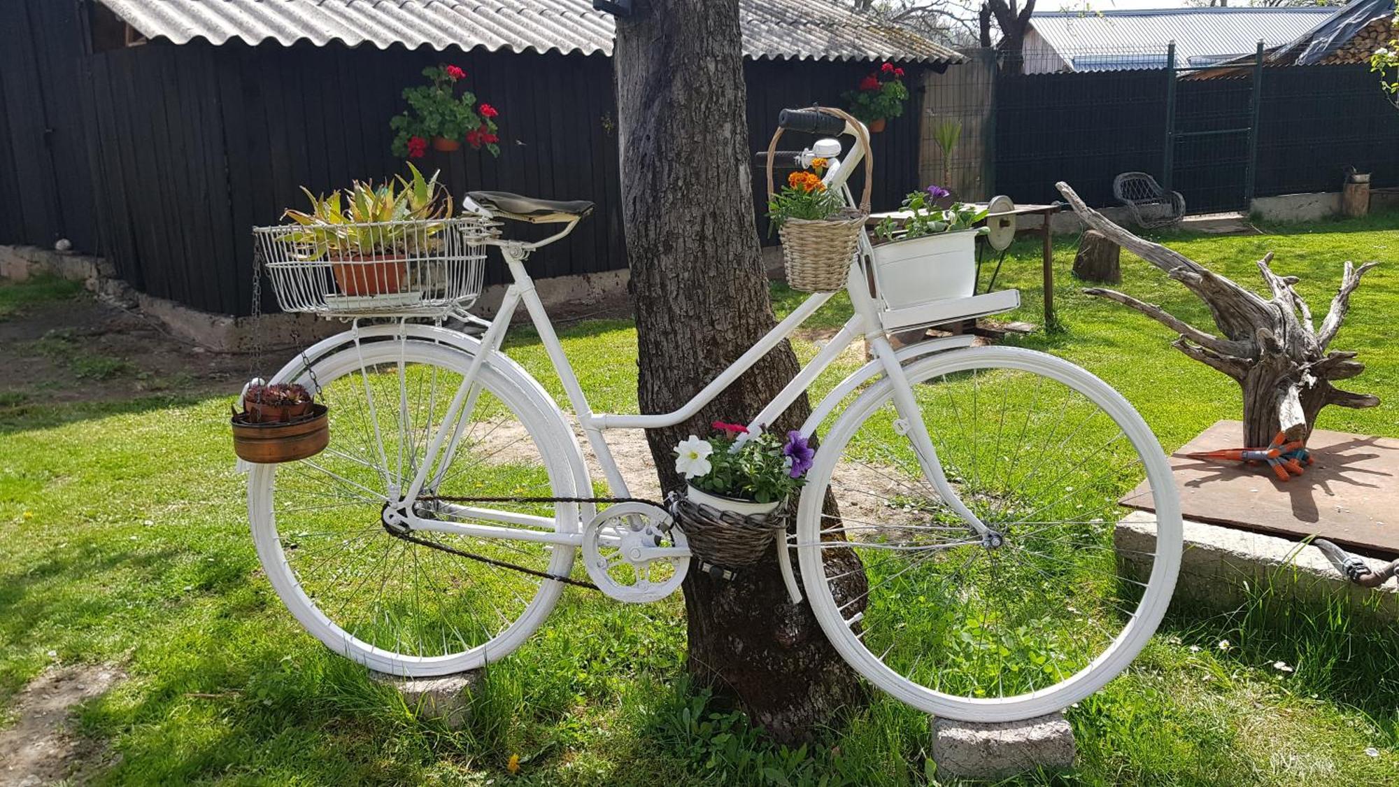 Pensiunea Miraj Polovragi Bagian luar foto